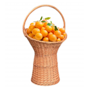 cosuri mari pentru fructe in magazine