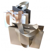Pungi carton gros gama premium cu manere ripsate 20x25x11cm