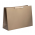 pungi aurii cadou 43cm