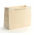 Pungi carton soft touch de cadouri
