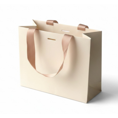 Pungi carton gros gama premium cu manere ripsate 20x25x11cm