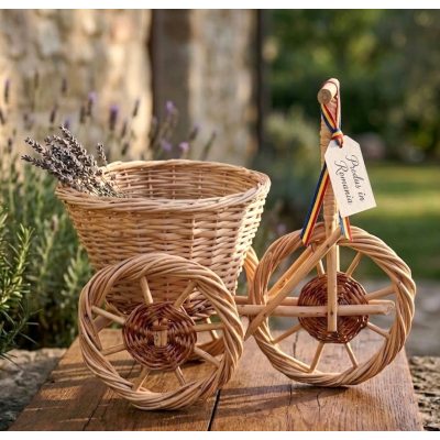 bicicleta decoratiune gradina