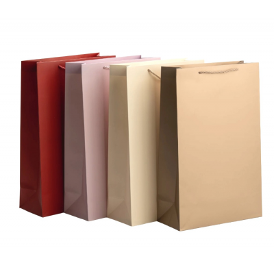 Pungi mari verticale din carton in culori uni