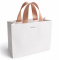 Punga cadou Alba Soft Touch culori uni 20x25x11cm carton premium 250g